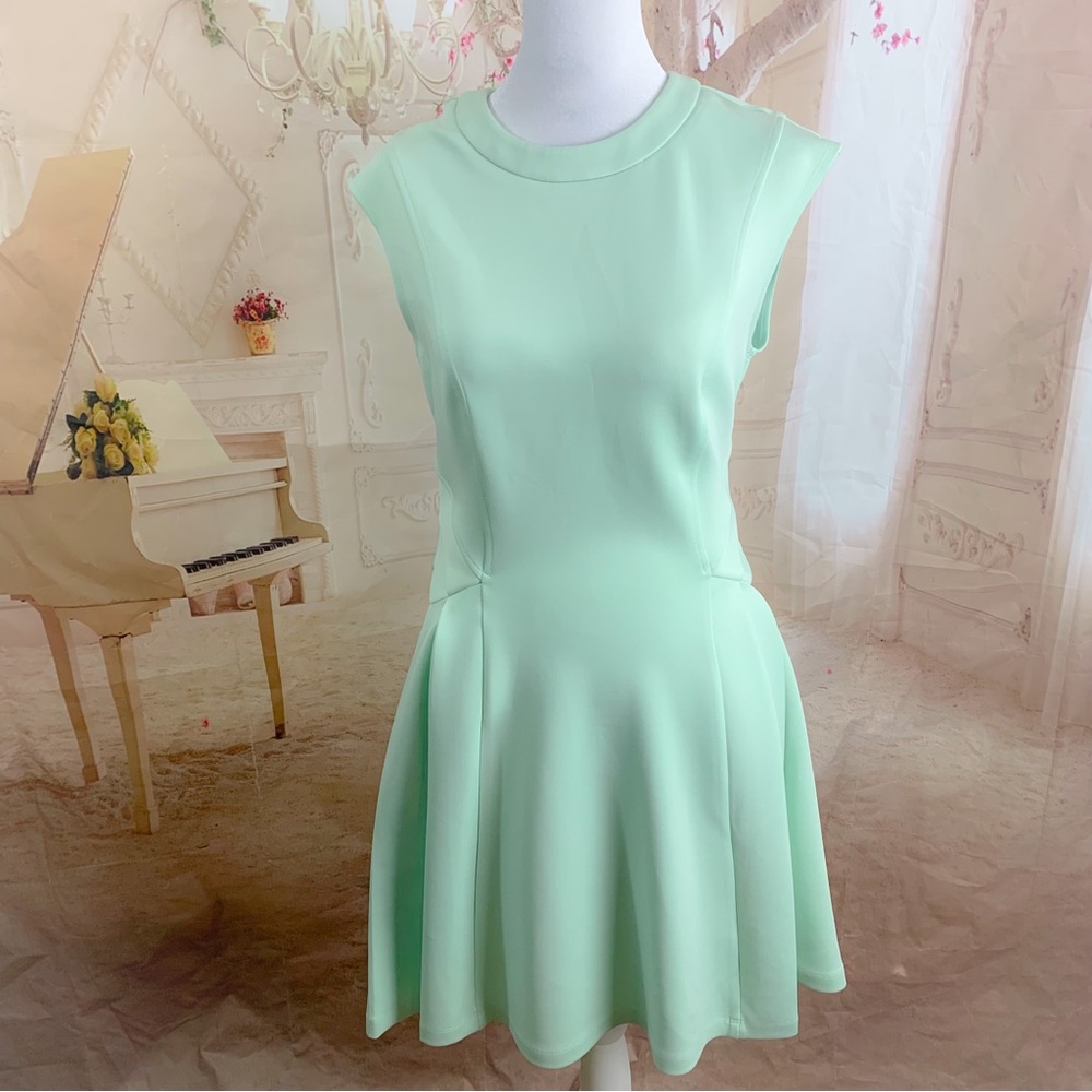 Ted Baker NISTEE SIDE PLEAT WOMEN'S SKATER DRESS PALE GREEN - Picture 2 of 12